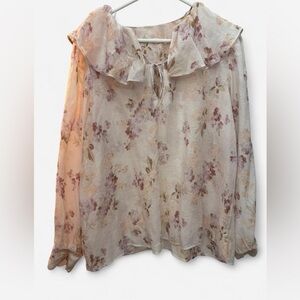Floral Blush Ruffle Peter Pan collar Victorian  boho flowy tie blouse